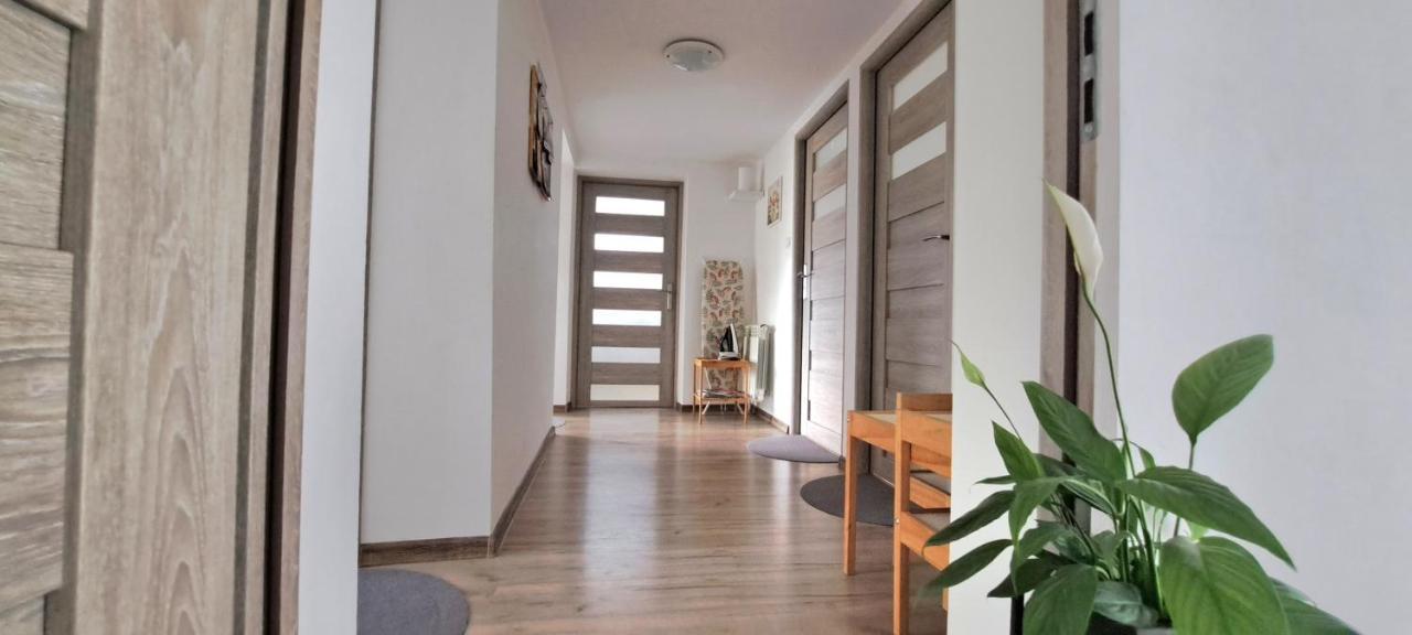 Pokoje I Apartamenty Na Szkolnej ซาตอร์ ภายนอก รูปภาพ